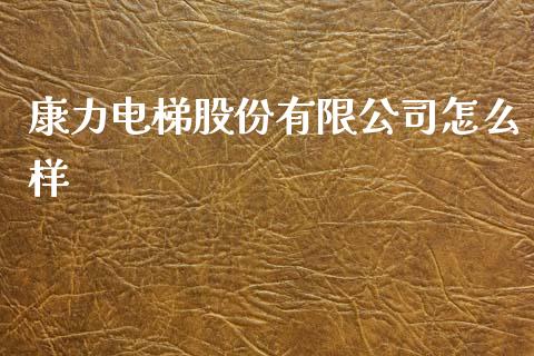 康力电梯股份有限公司怎么样_https://wap.hpmsj.cn_基金分析_第1张