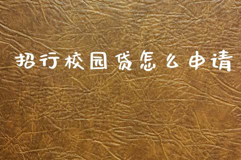 招行校园贷怎么申请_https://wap.hpmsj.cn_外汇汇率_第1张