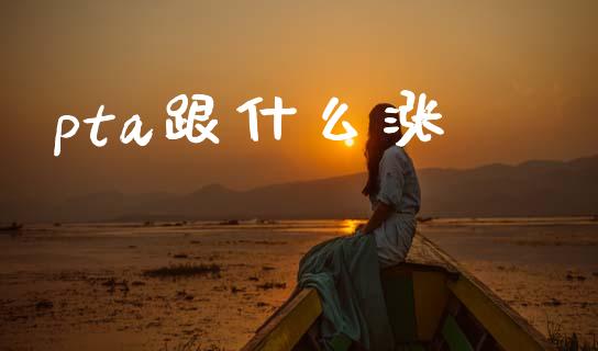 pta跟什么涨_https://wap.hpmsj.cn_基金分析_第1张