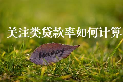 关注类贷款率如何计算_https://wap.hpmsj.cn_基金分析_第1张