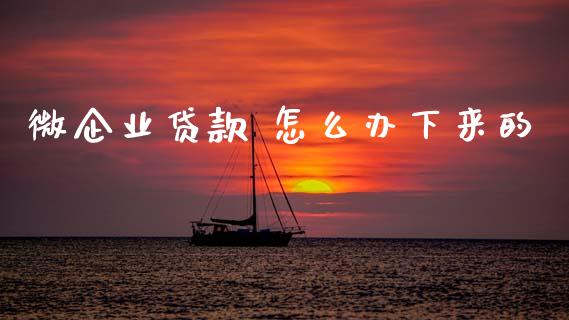 微企业贷款 怎么办下来的_https://wap.hpmsj.cn_金融机构_第1张