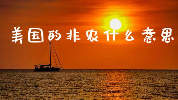 美国的非农什么意思_https://wap.hpmsj.cn_债券投资_第1张