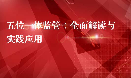 五位一体监管：全面解读与实践应用_https://wap.hpmsj.cn_金融机构_第1张