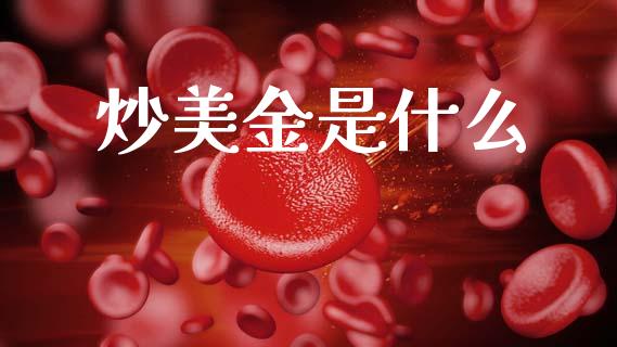 炒美金是什么_https://wap.hpmsj.cn_外汇汇率_第1张