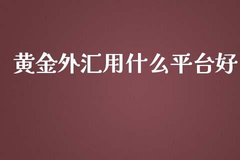 黄金外汇用什么平台好_https://wap.hpmsj.cn_金融机构_第1张