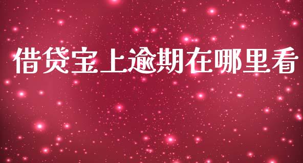借贷宝上逾期在哪里看_https://wap.hpmsj.cn_期货交易_第1张