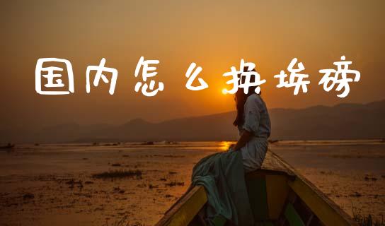 国内怎么换埃磅_https://wap.hpmsj.cn_期货交易_第1张