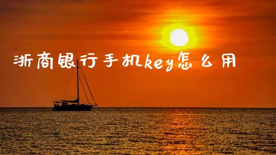 浙商银行手机key怎么用_https://wap.hpmsj.cn_基金分析_第1张