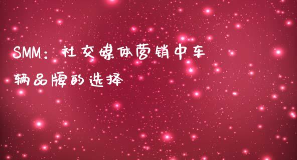 SMM：社交媒体营销中车辆品牌的选择_https://wap.hpmsj.cn_债券投资_第1张