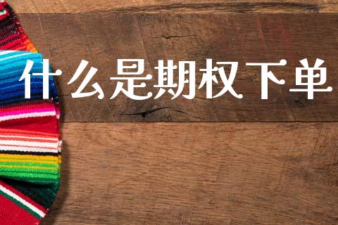 什么是期权下单_https://wap.hpmsj.cn_外汇汇率_第1张