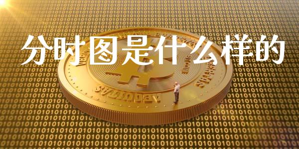 分时图是什么样的_https://wap.hpmsj.cn_债券投资_第1张