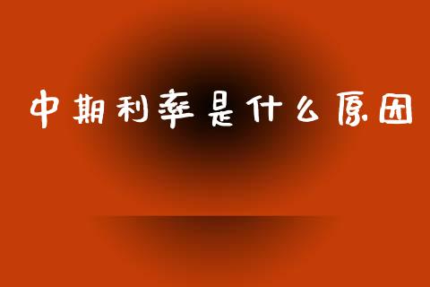 中期利率是什么原因_基金分析_第1张_财经时评_基金分析_期货交易_金融机构_外汇汇率_债券投资 中期利率是什么原因_https://wap.hpmsj.cn_基金分析_第1张