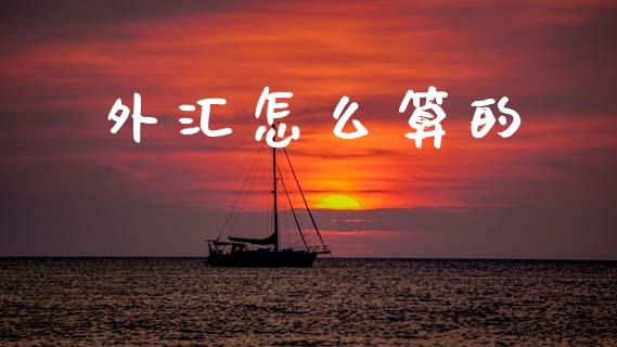 外汇怎么算的_https://wap.hpmsj.cn_基金分析_第1张