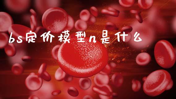 bs定价模型n是什么_https://wap.hpmsj.cn_基金分析_第1张