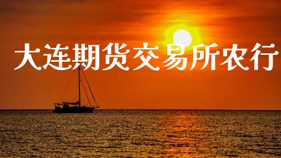 大连期货交易所农行_https://wap.hpmsj.cn_财经时评_第1张