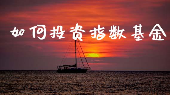 如何投资指数基金_https://wap.hpmsj.cn_金融机构_第1张