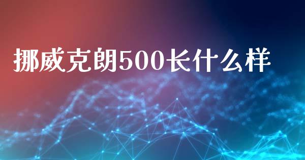 挪威克朗500长什么样_https://wap.hpmsj.cn_债券投资_第1张