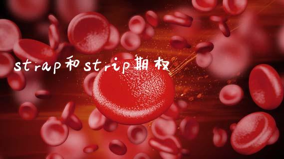 strap和strip期权_https://wap.hpmsj.cn_金融机构_第1张