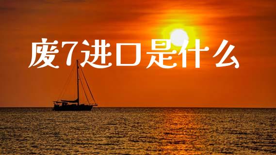 废7进口是什么_https://wap.hpmsj.cn_外汇汇率_第1张