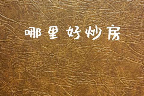 哪里好炒房_https://wap.hpmsj.cn_金融机构_第1张