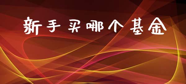 新手买哪个基金_https://wap.hpmsj.cn_债券投资_第1张