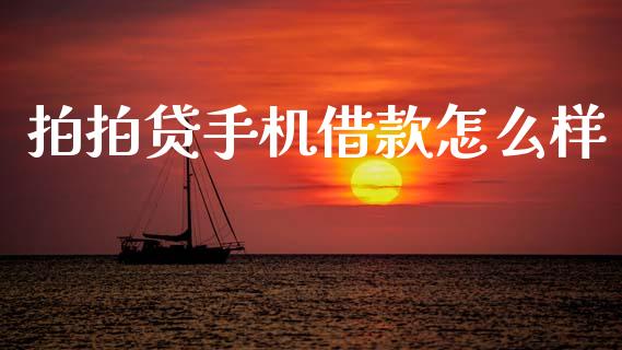 拍拍贷手机借款怎么样_https://wap.hpmsj.cn_外汇汇率_第1张