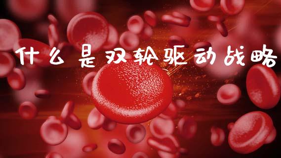 什么是双轮驱动战略_https://wap.hpmsj.cn_财经时评_第1张
