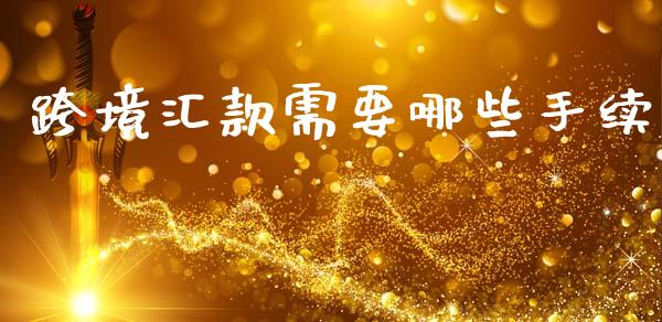 跨境汇款需要哪些手续_https://wap.hpmsj.cn_金融机构_第1张