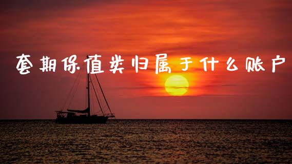 套期保值类归属于什么账户_https://wap.hpmsj.cn_基金分析_第1张