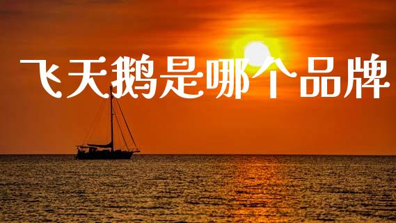 飞天鹅是哪个品牌_https://wap.hpmsj.cn_债券投资_第1张