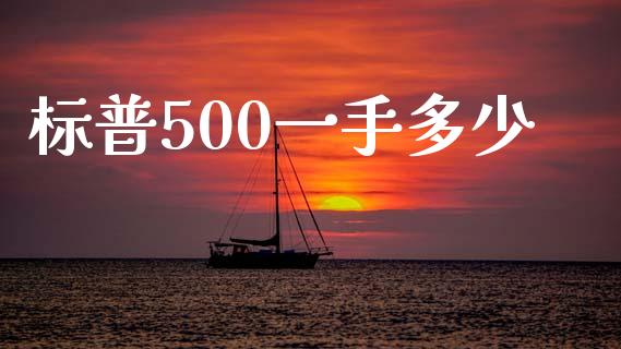 标普500一手多少_https://wap.hpmsj.cn_期货交易_第1张