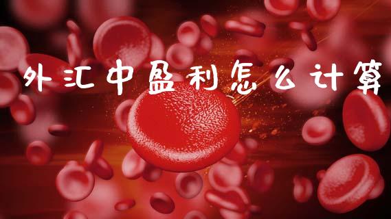 外汇中盈利怎么计算_https://wap.hpmsj.cn_期货交易_第1张