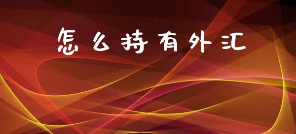 怎么持有外汇_https://wap.hpmsj.cn_外汇汇率_第1张