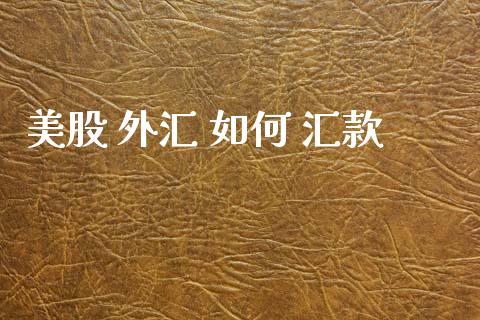 美股 外汇 如何 汇款_https://wap.hpmsj.cn_基金分析_第1张