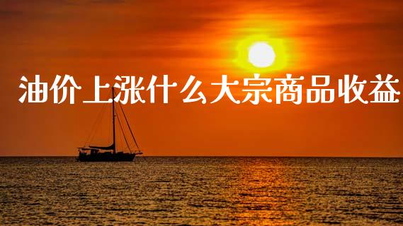油价上涨什么大宗商品收益_https://wap.hpmsj.cn_期货交易_第1张