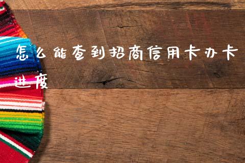 怎么能查到招商信用卡办卡进度_https://wap.hpmsj.cn_债券投资_第1张