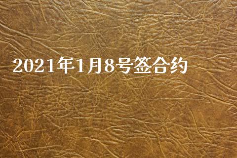 2021年1月8号签合约_https://wap.hpmsj.cn_基金分析_第1张