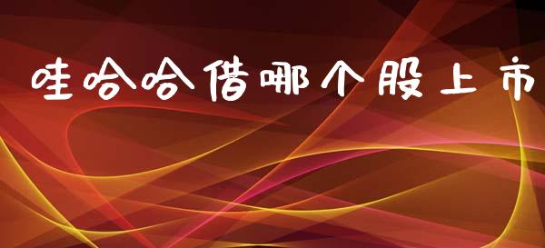 哇哈哈借哪个股上市_https://wap.hpmsj.cn_债券投资_第1张