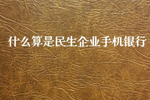 什么算是民生企业手机银行_https://wap.hpmsj.cn_外汇汇率_第1张