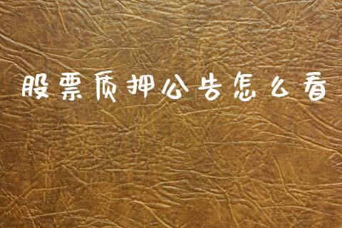 股票质押公告怎么看_https://wap.hpmsj.cn_债券投资_第1张