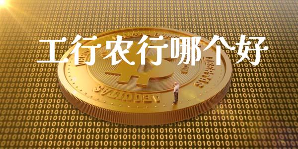 工行农行哪个好_https://wap.hpmsj.cn_基金分析_第1张