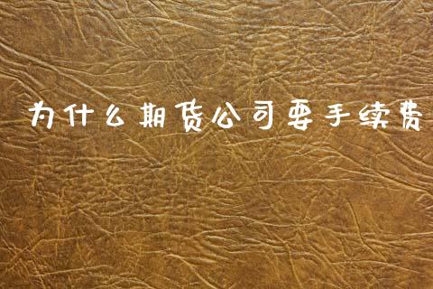为什么期货公司要手续费_https://wap.hpmsj.cn_债券投资_第1张