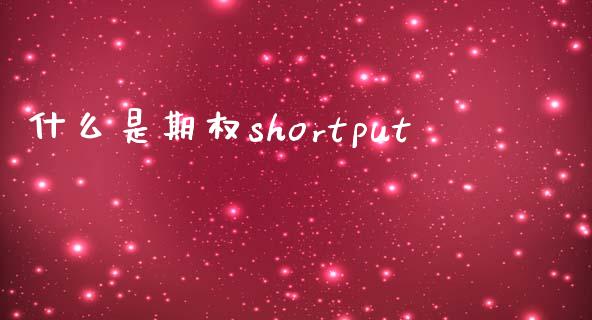 什么是期权shortput_https://wap.hpmsj.cn_期货交易_第1张