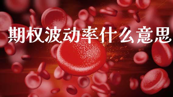 期权波动率什么意思_https://wap.hpmsj.cn_外汇汇率_第1张