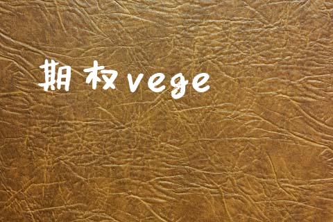 期权vege_https://wap.hpmsj.cn_债券投资_第1张