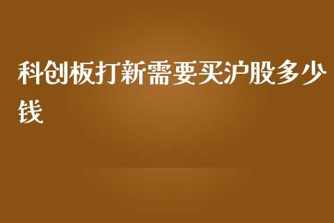 科创板打新需要买沪股多少钱_https://wap.hpmsj.cn_金融机构_第1张