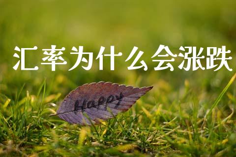 汇率为什么会涨跌_https://wap.hpmsj.cn_基金分析_第1张
