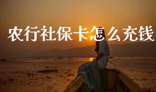 农行社保卡怎么充钱_https://wap.hpmsj.cn_财经时评_第1张