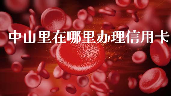 中山里在哪里办理信用卡_https://wap.hpmsj.cn_财经时评_第1张