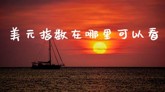 美元指数在哪里可以看_https://wap.hpmsj.cn_期货交易_第1张
